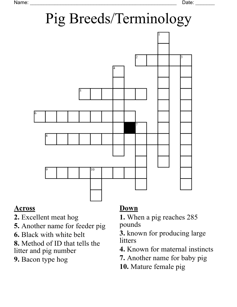 Pig Breeds Terminology Crossword WordMint Pig Breeds Terminology Crossword WordMint