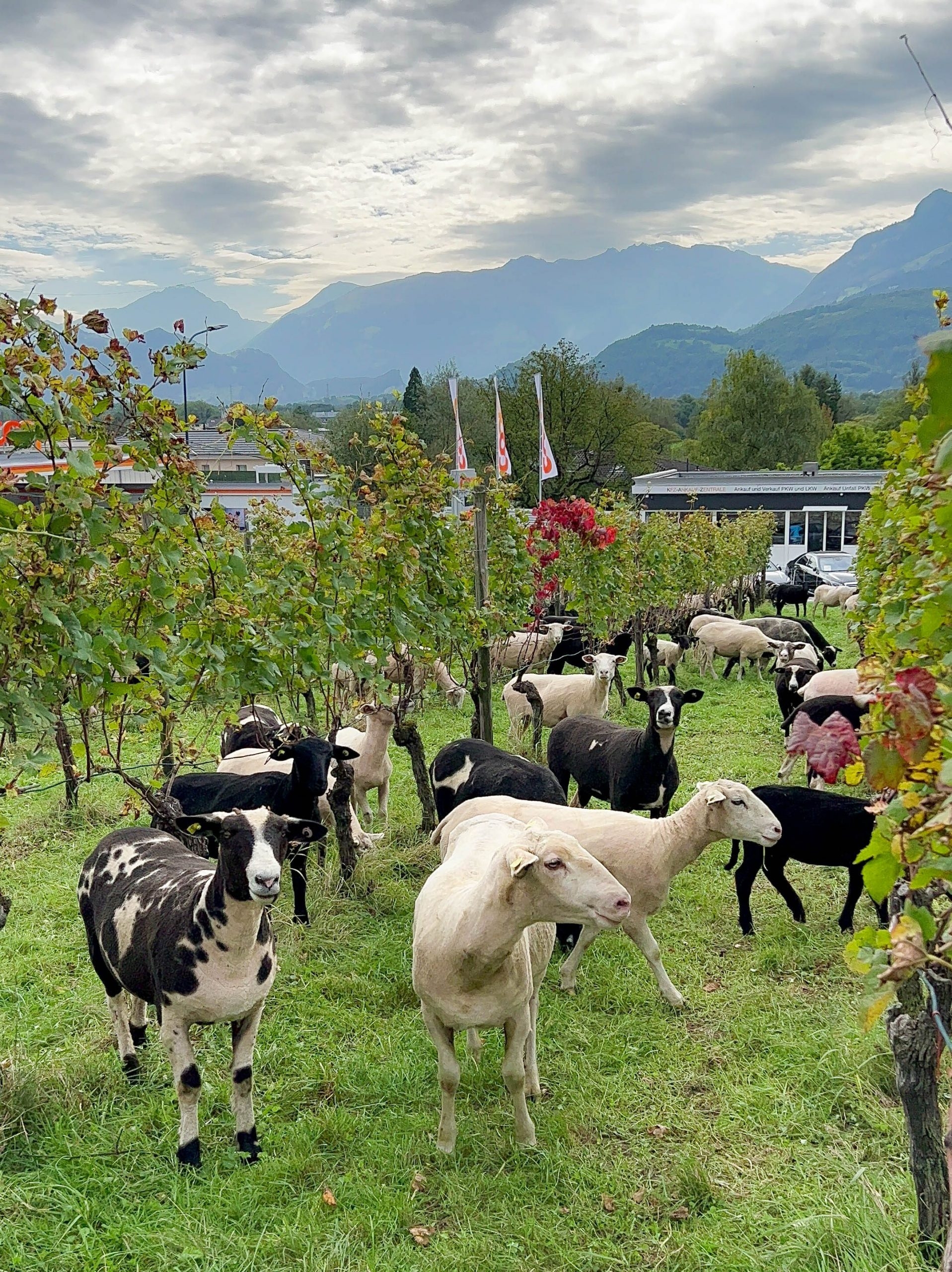 trip planner liechtenstein