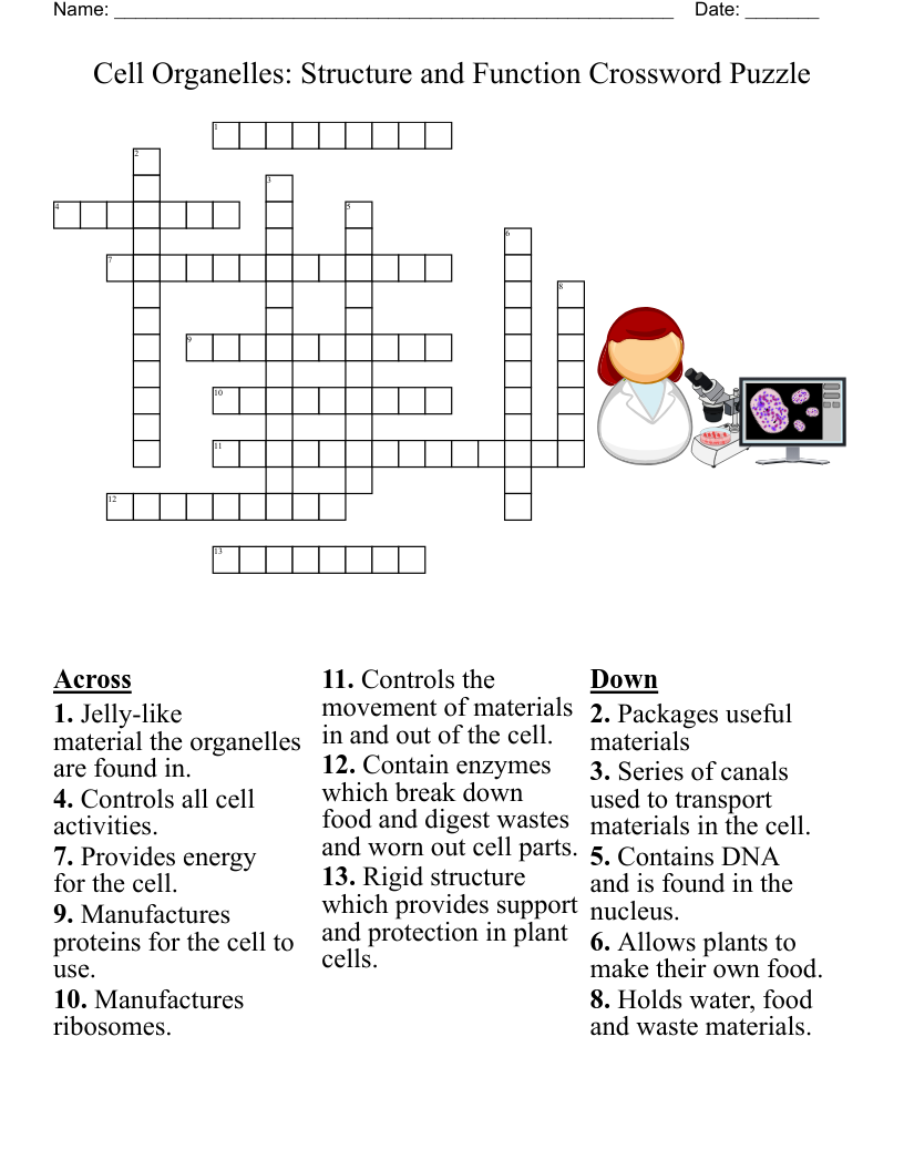 Plant Cell Parts Crossword WordMint