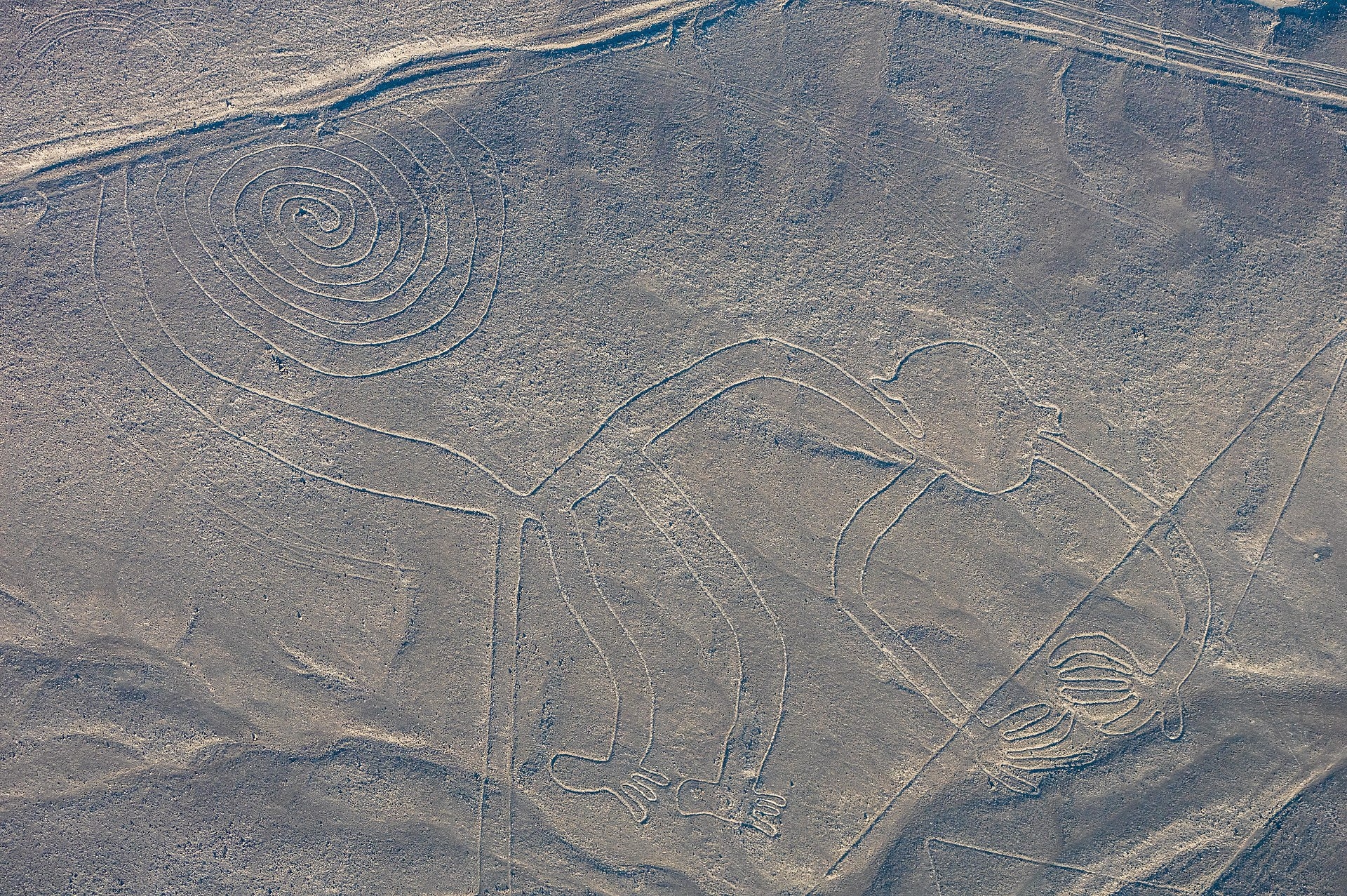 Rex Parker Does The NYT Crossword Puzzle Mysterious Ancient Geoglyphs In The Peruvian Desert SAT 4 20 24 Dips So To Speak Creatures Inspired By George Lucas s Dog Whom King