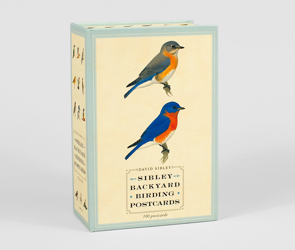 Rex Parker Does The NYT Crossword Puzzle Old You re Going To Like Us Sloganeer WED 1 13 16 Equine Nibble Frost Mixed With Pebbles Pond Admired From Back Porch 