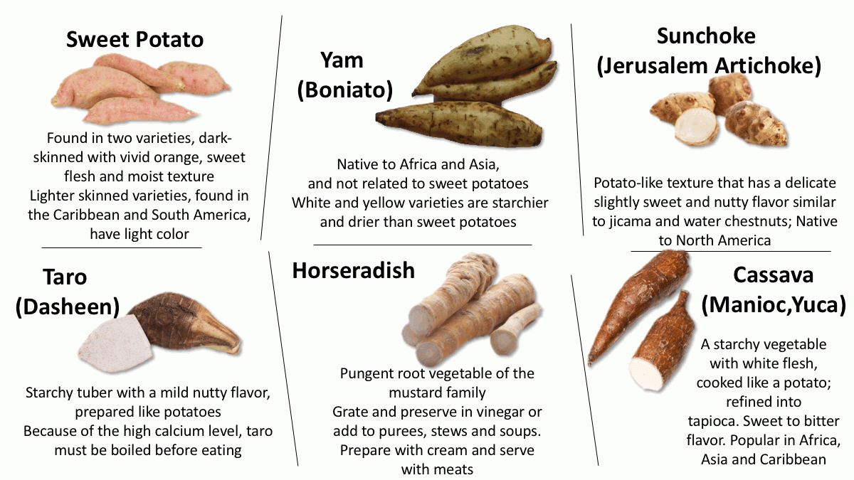 Root Tuber Vegetables The Culinary Pro