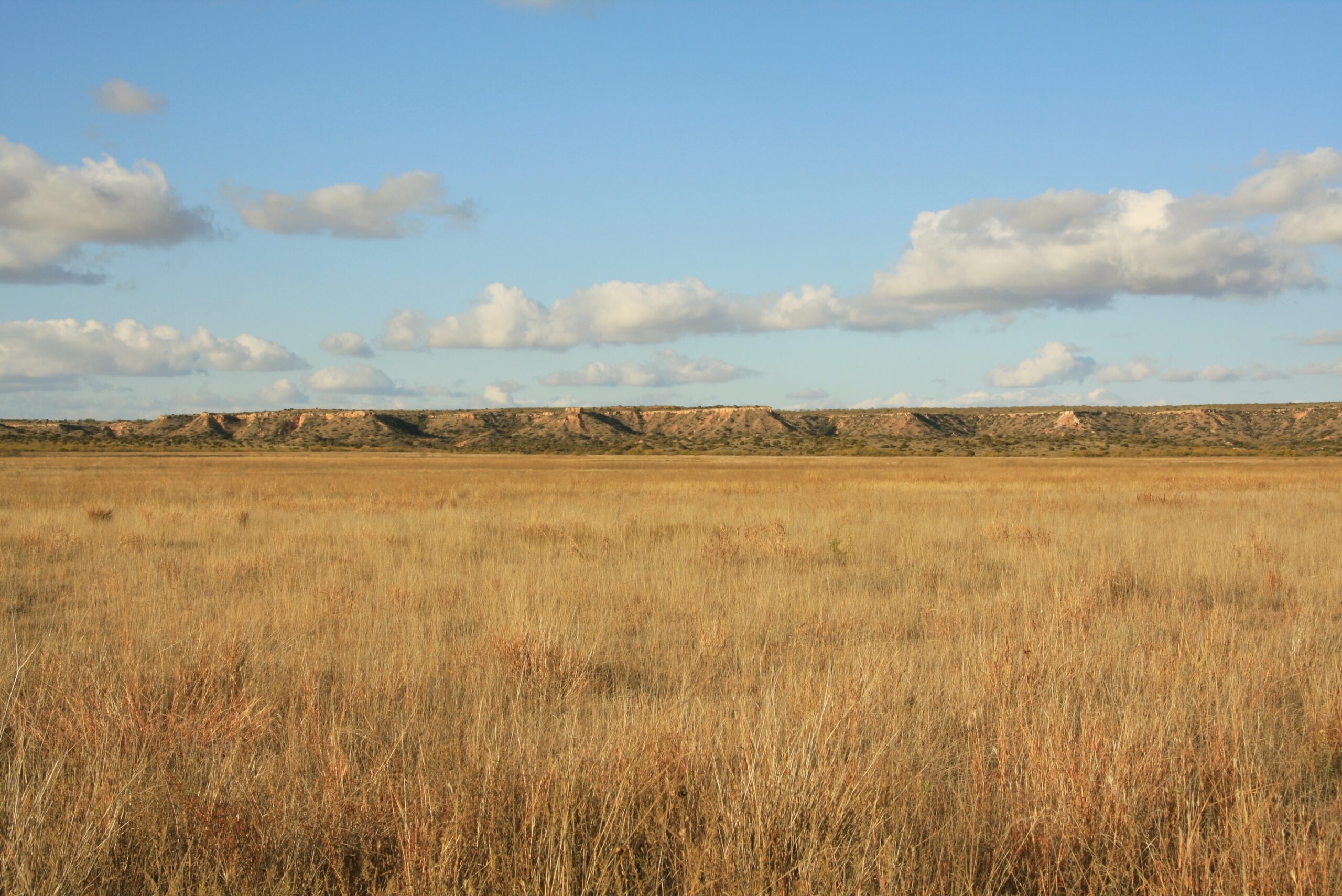 Shortgrass Prairie Wikipedia