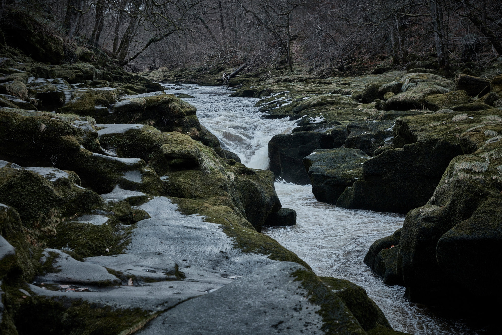 Six Feet Across And Full Of Peril England s Killer Creek The New York Times