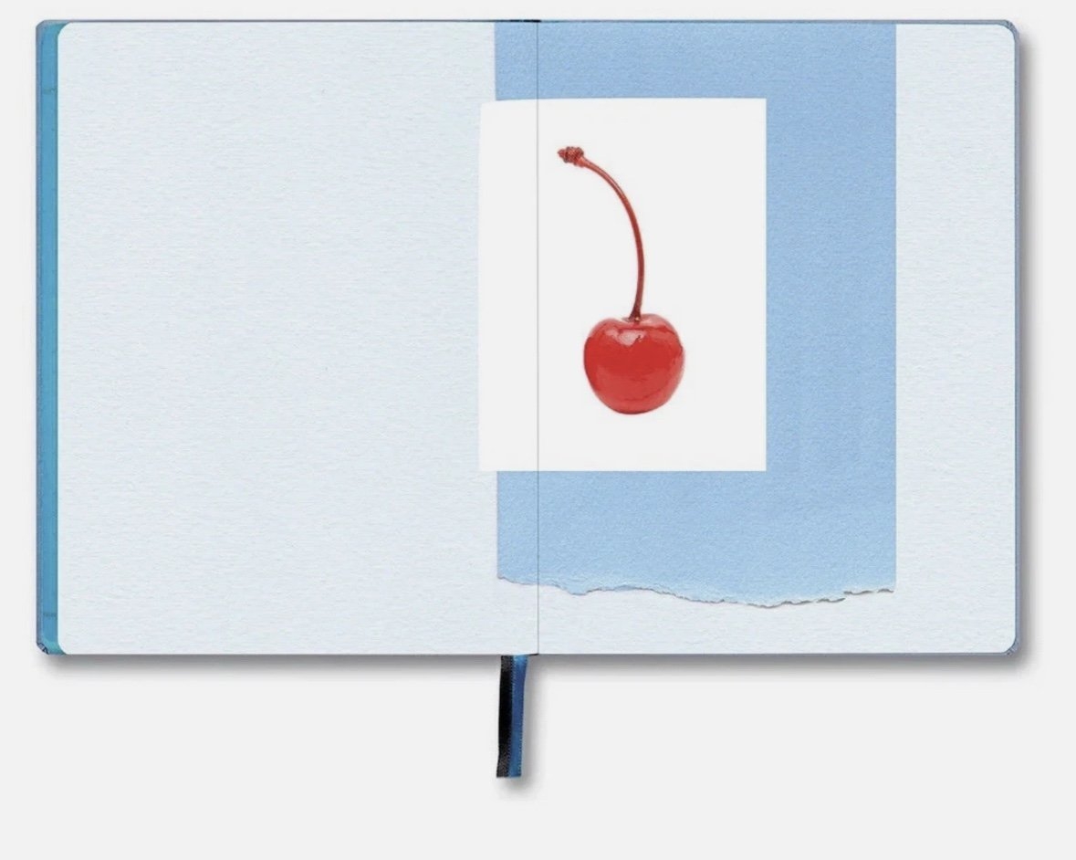 Sofia Coppola The Important Flowers Planner 2026 Brand New SHIPS TODAY FREE