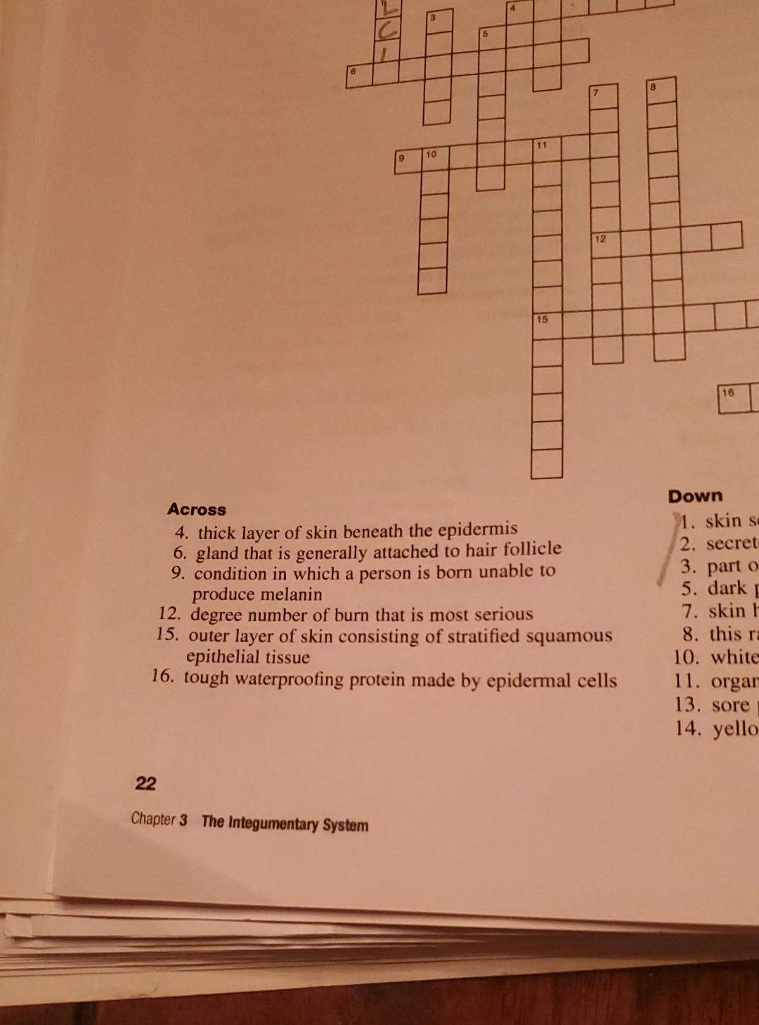 Solved THE PUZZLE Answer The Questions To Complete The Chegg Solved THE PUZZLE Answer The Questions To Complete The Chegg