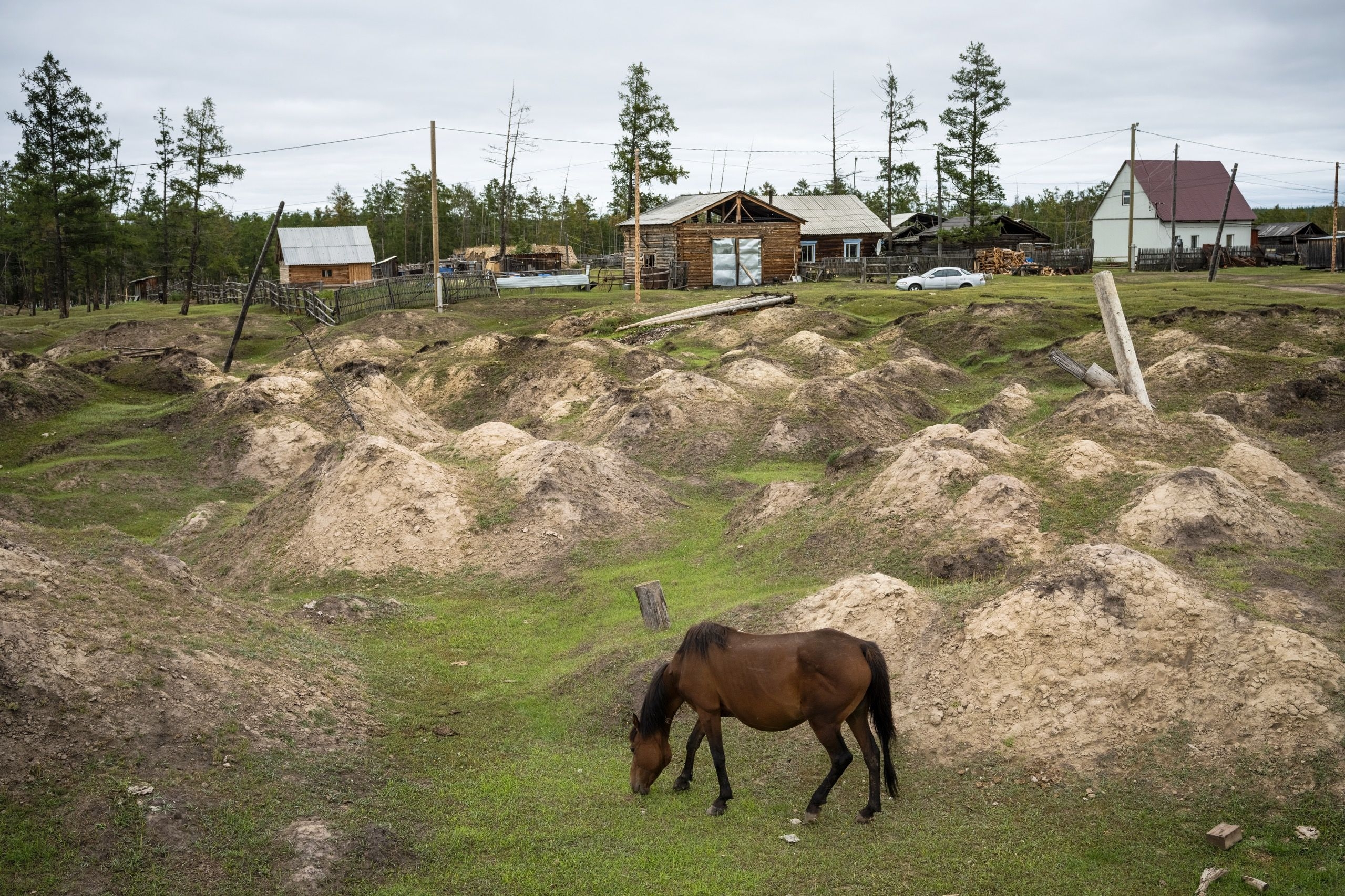 The Great Siberian Thaw The New Yorker The Great Siberian Thaw The New Yorker