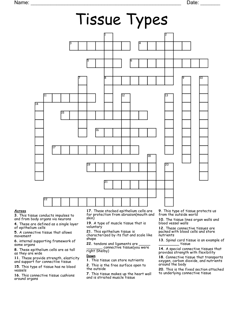 Tissue Types Crossword WordMint