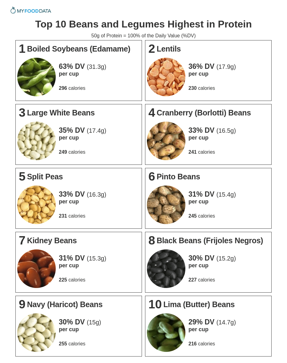 Top 10 Beans And Legumes Highest In Protein