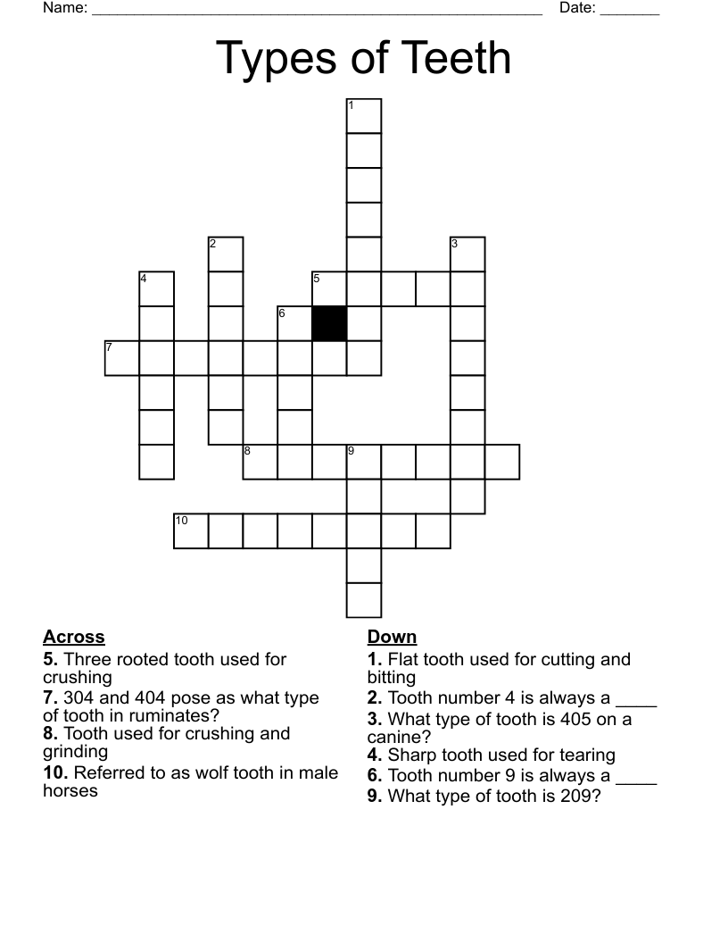 Types Of Teeth Crossword WordMint
