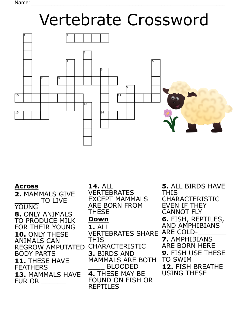 Vertebrate Crossword WordMint