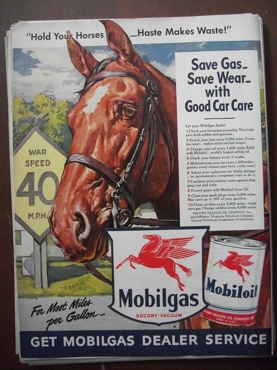 hold your horses crossword hold your horses crossword