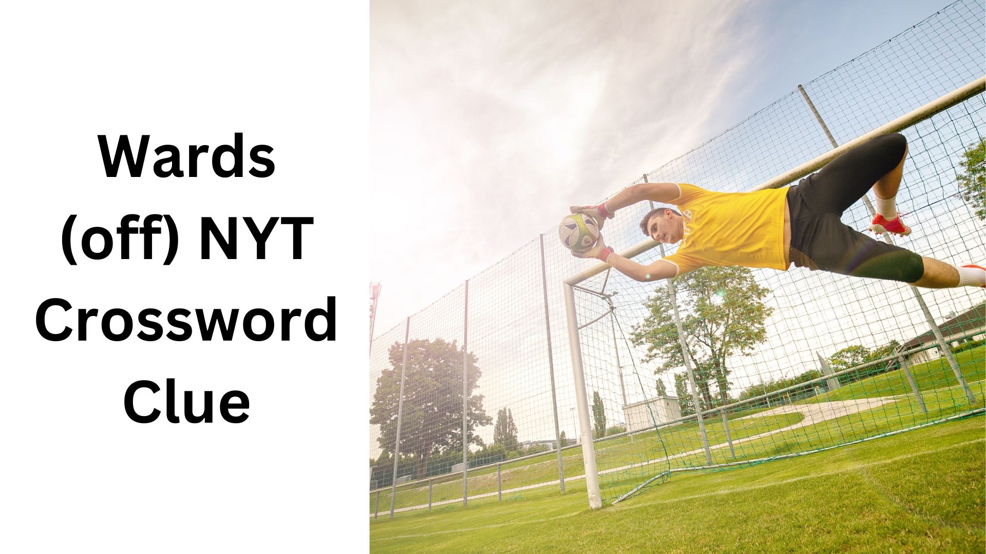 Wards off NYT Crossword Clue September 2 2024