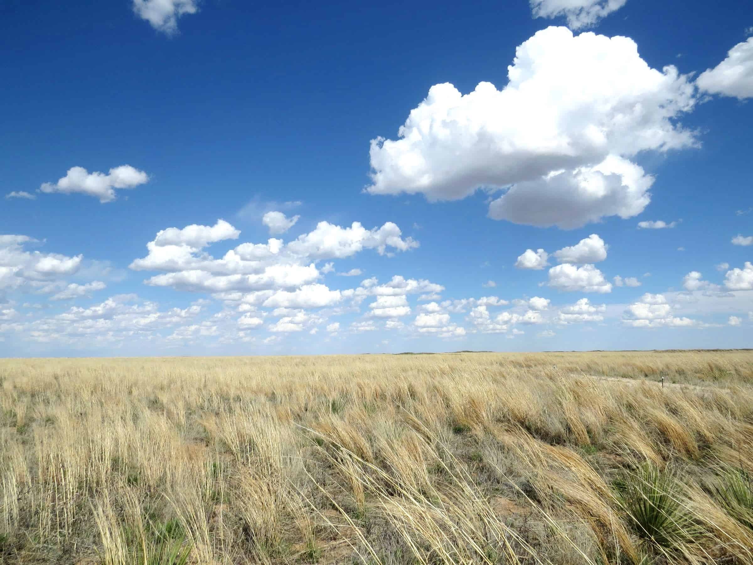 Western Working Lands Snapshot Grasslands Working Lands For Wildlife