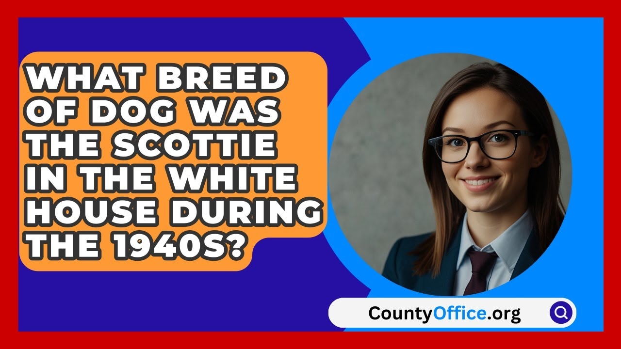 What Breed Of Dog Was The Scottie In The White House During The 1940s CountyOffice News YouTube What Breed Of Dog Was The Scottie In The White House During The 1940s CountyOffice News YouTube