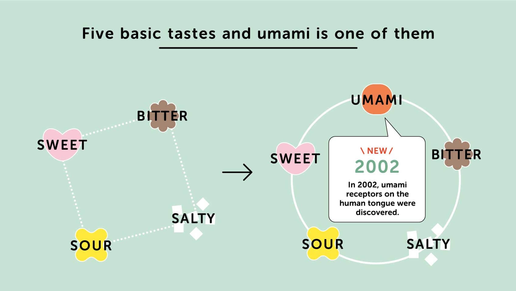 What Is Umami Everything About Umami Umami The Ajinomoto Group Global Website Eat Well Live Well 