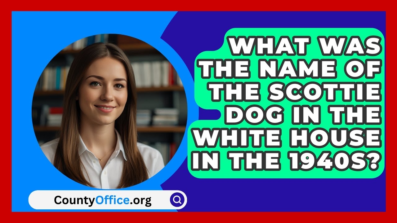 What Was The Name Of The Scottie Dog In The White House In The 1940s CountyOffice News YouTube