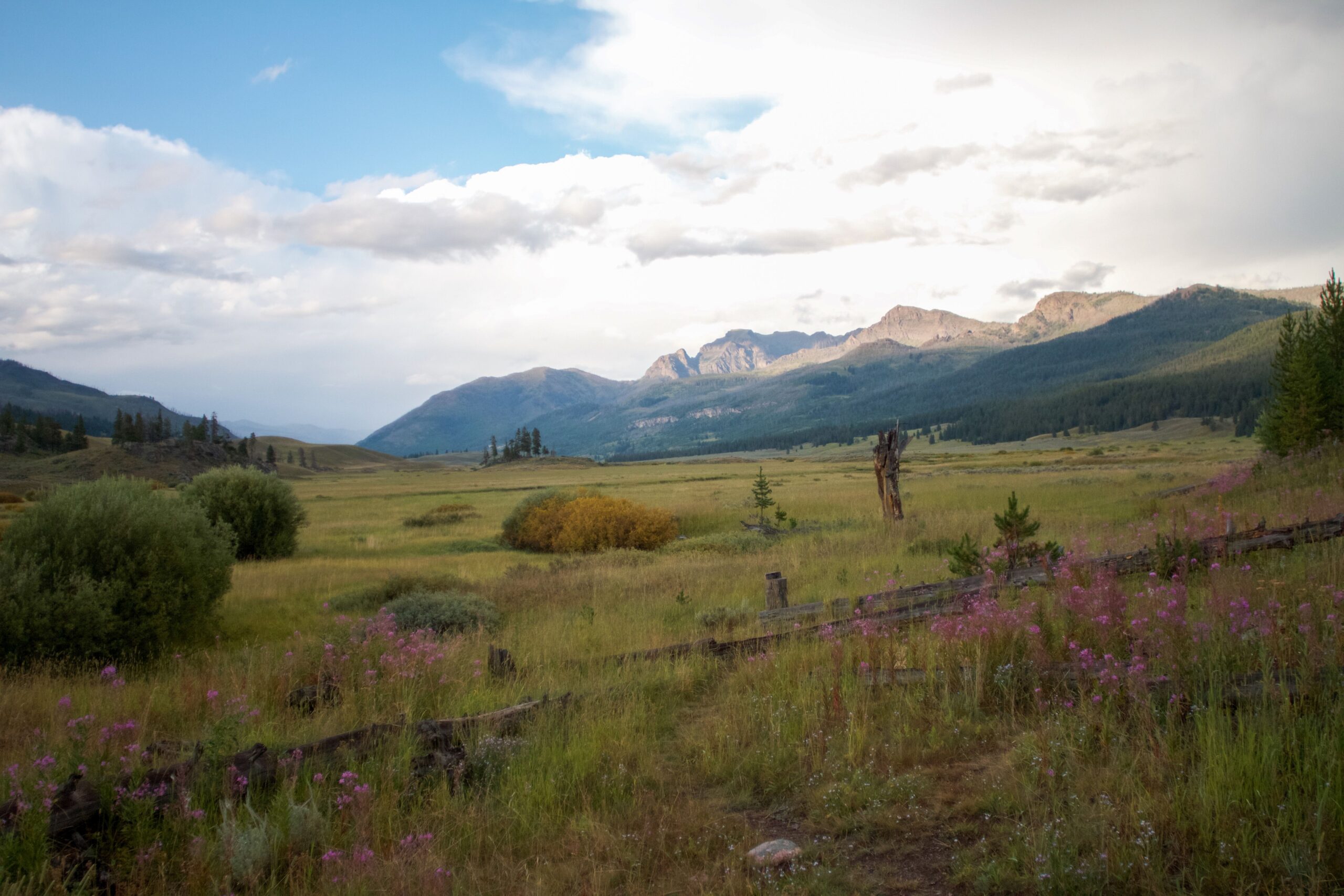 grazing ground crossword clue grazing ground crossword clue