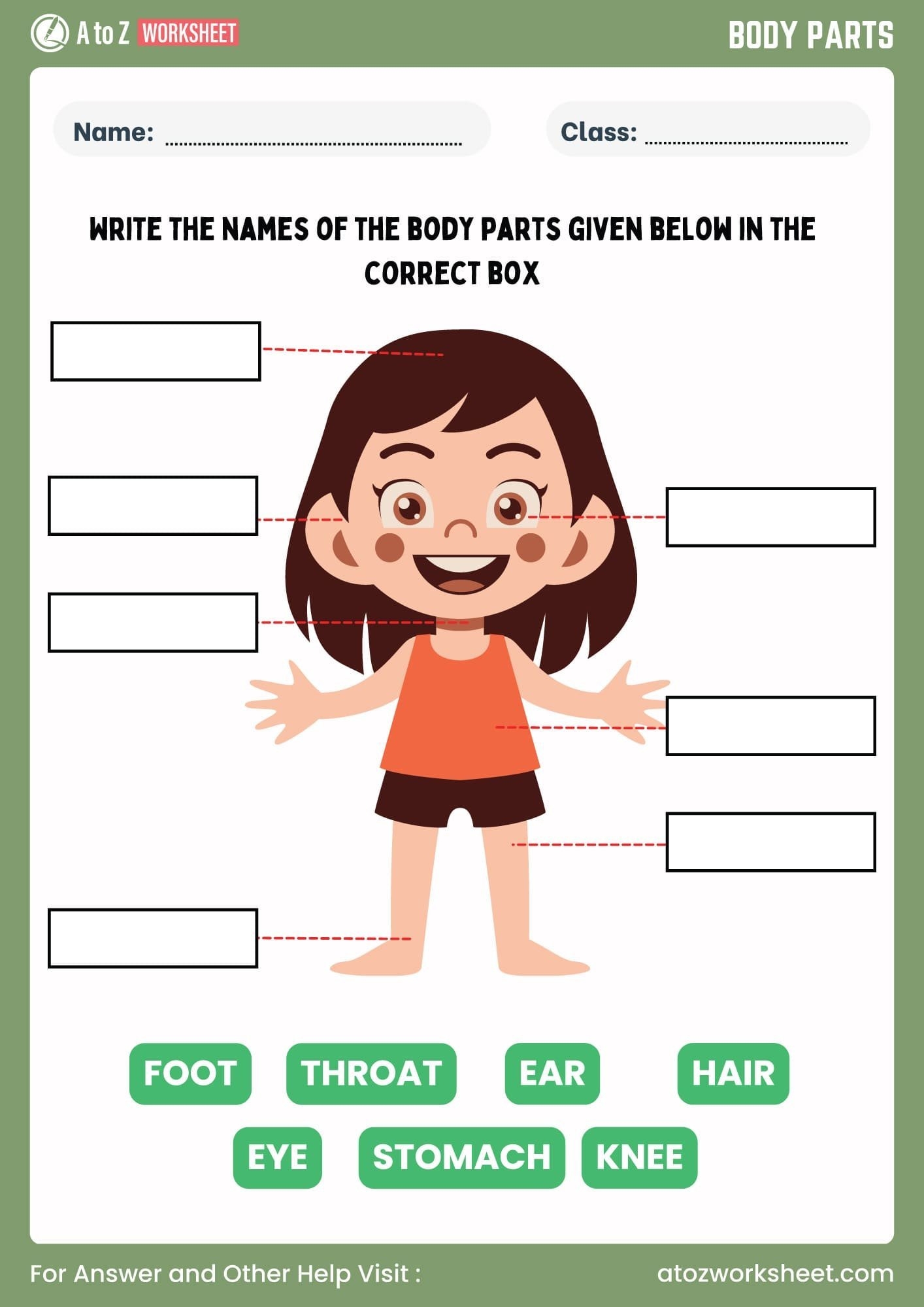 body parts worksheet