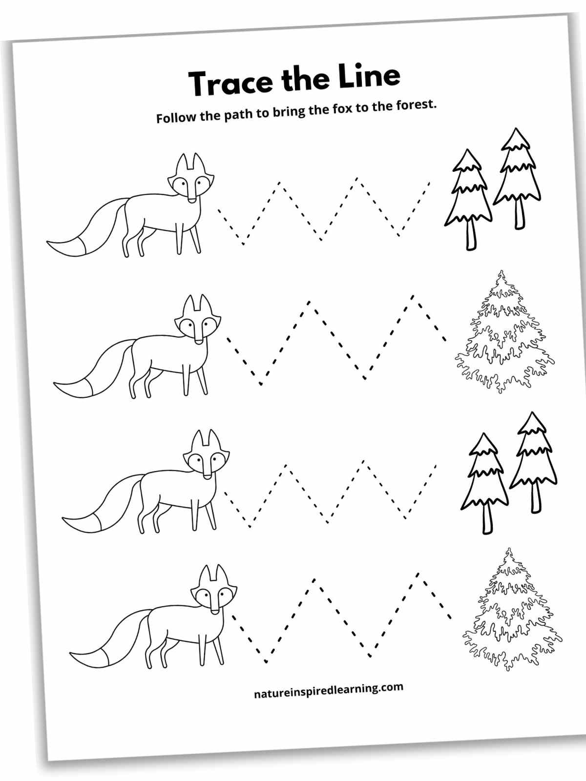 17 Line Tracing Worksheets Free Nature Inspired Learning 17 Line Tracing Worksheets Free Nature Inspired Learning
