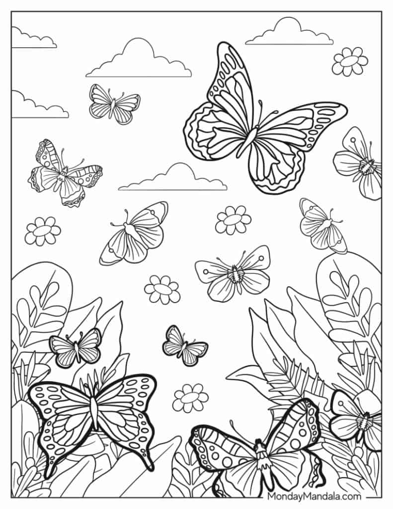 printable pictures to color of butterflies