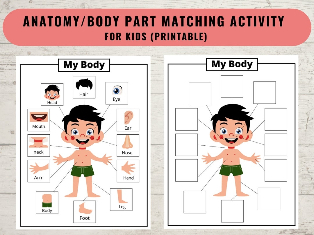 Body Parts Printable Activity For Kids Human Body Printable Matching Game Worksheet Coloring Page Homeschool Preschool Digital Download Etsy