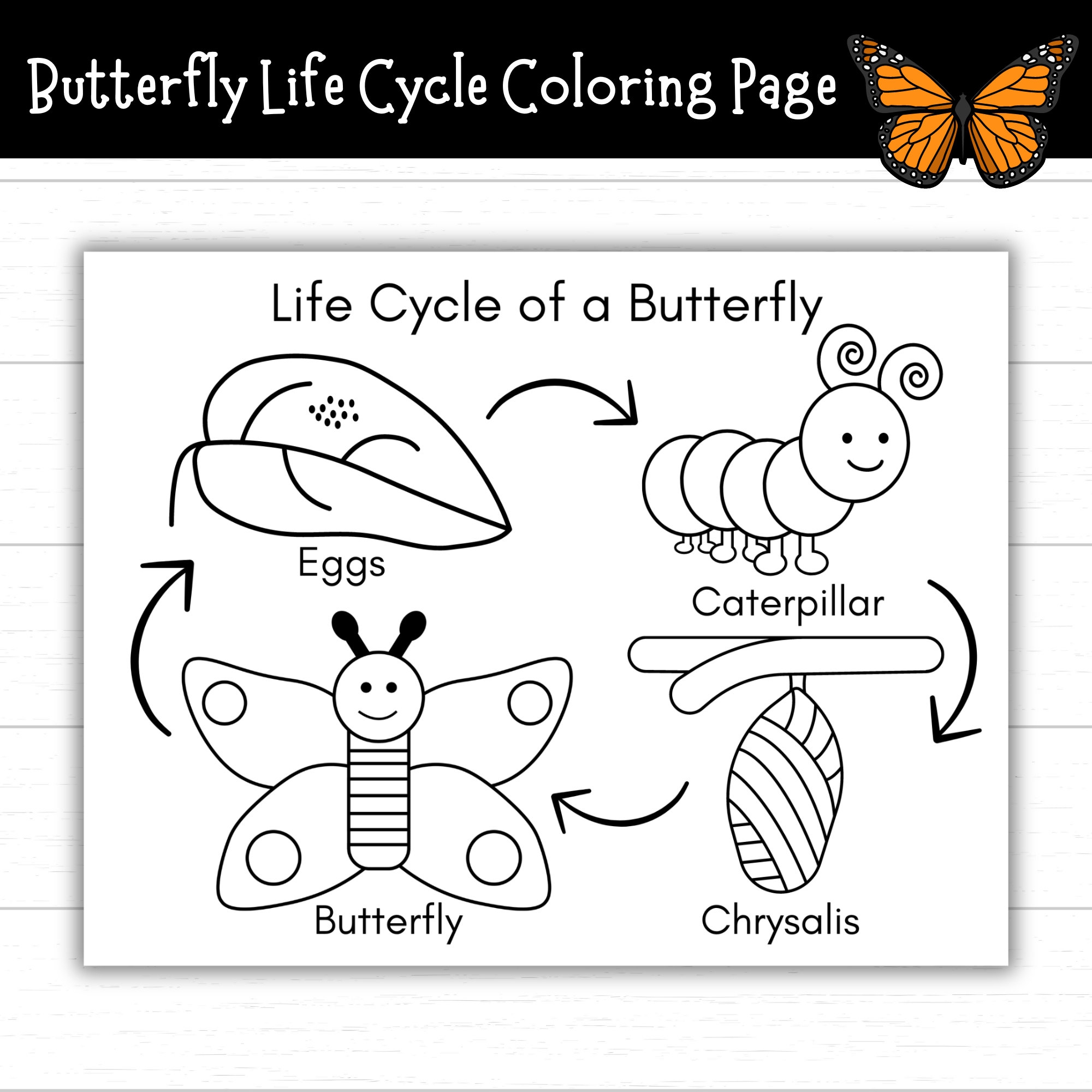 Butterfly Life Cycle Coloring Page Printable Life Cycle Of A Butterfly Activities Life Cycles Butterfly Activities Monarch Etsy Butterfly Life Cycle Coloring Page Printable Life Cycle Of A Butterfly Activities Life Cycles Butterfly Activities Monarch Etsy