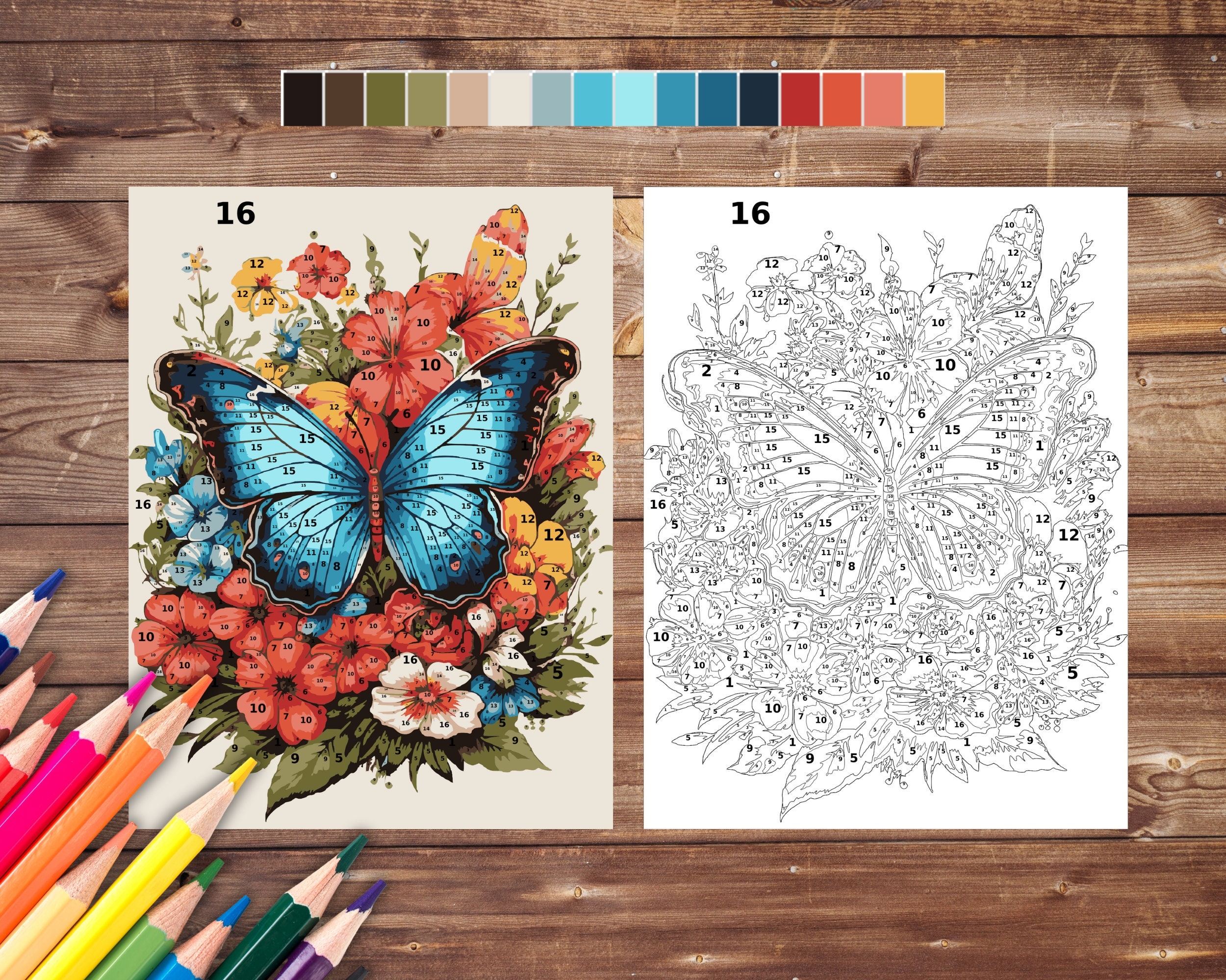 Color By Number For Adults Butterfly Paint By Number Printable Coloring Pages Sheets Digital Download PDF Etsy Color By Number For Adults Butterfly Paint By Number Printable Coloring Pages Sheets Digital Download PDF Etsy