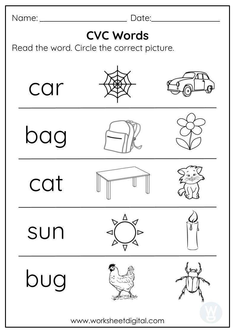 CVC Words Worksheet Digital 1 Teacher Made Resources