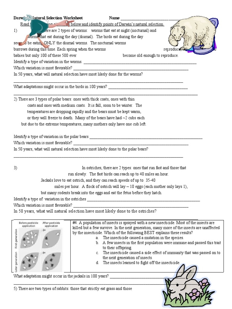 Darwins Natural Selection Worksheet Worksheets Library