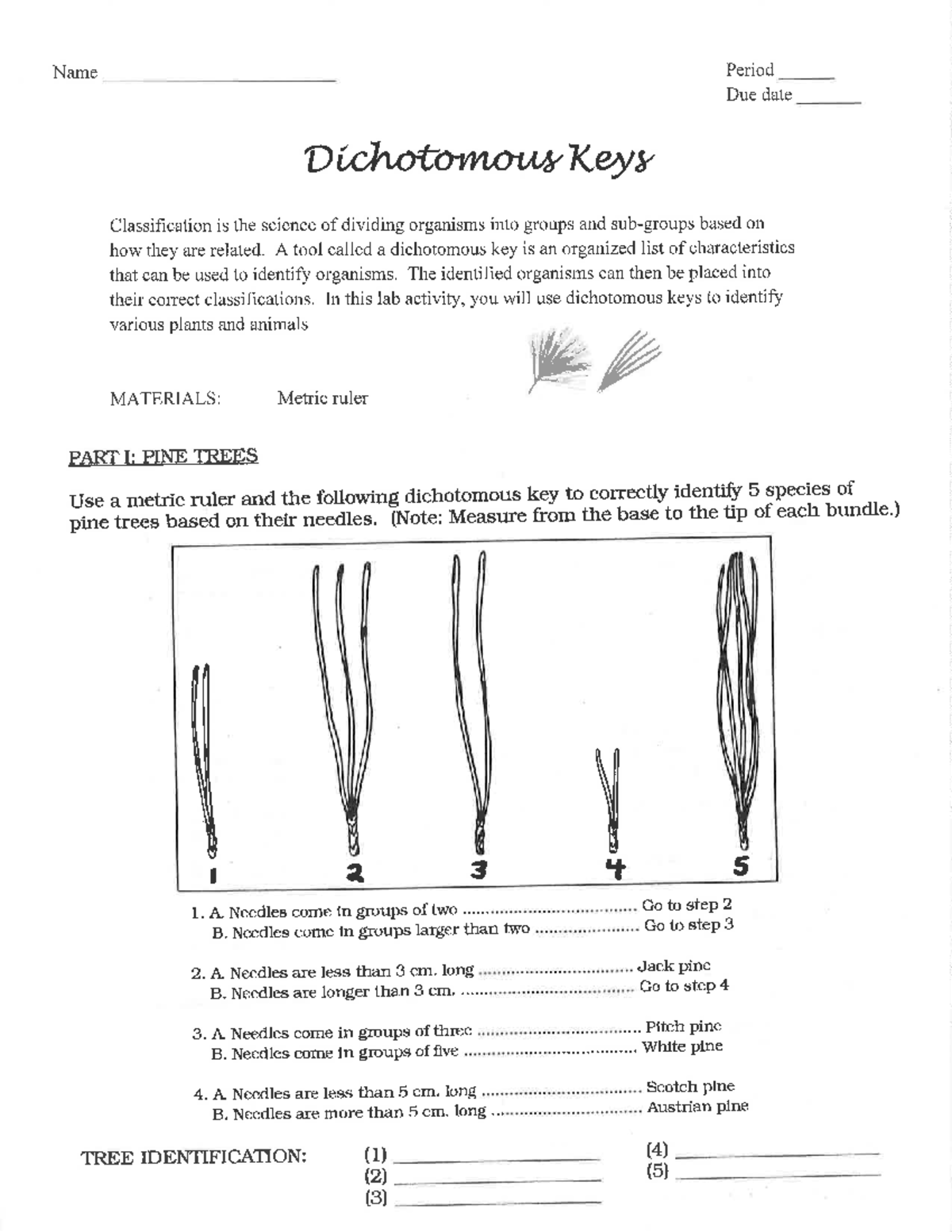 Dichotomous Keys Lab Guide Identifying Organisms Extinct Species Studocu