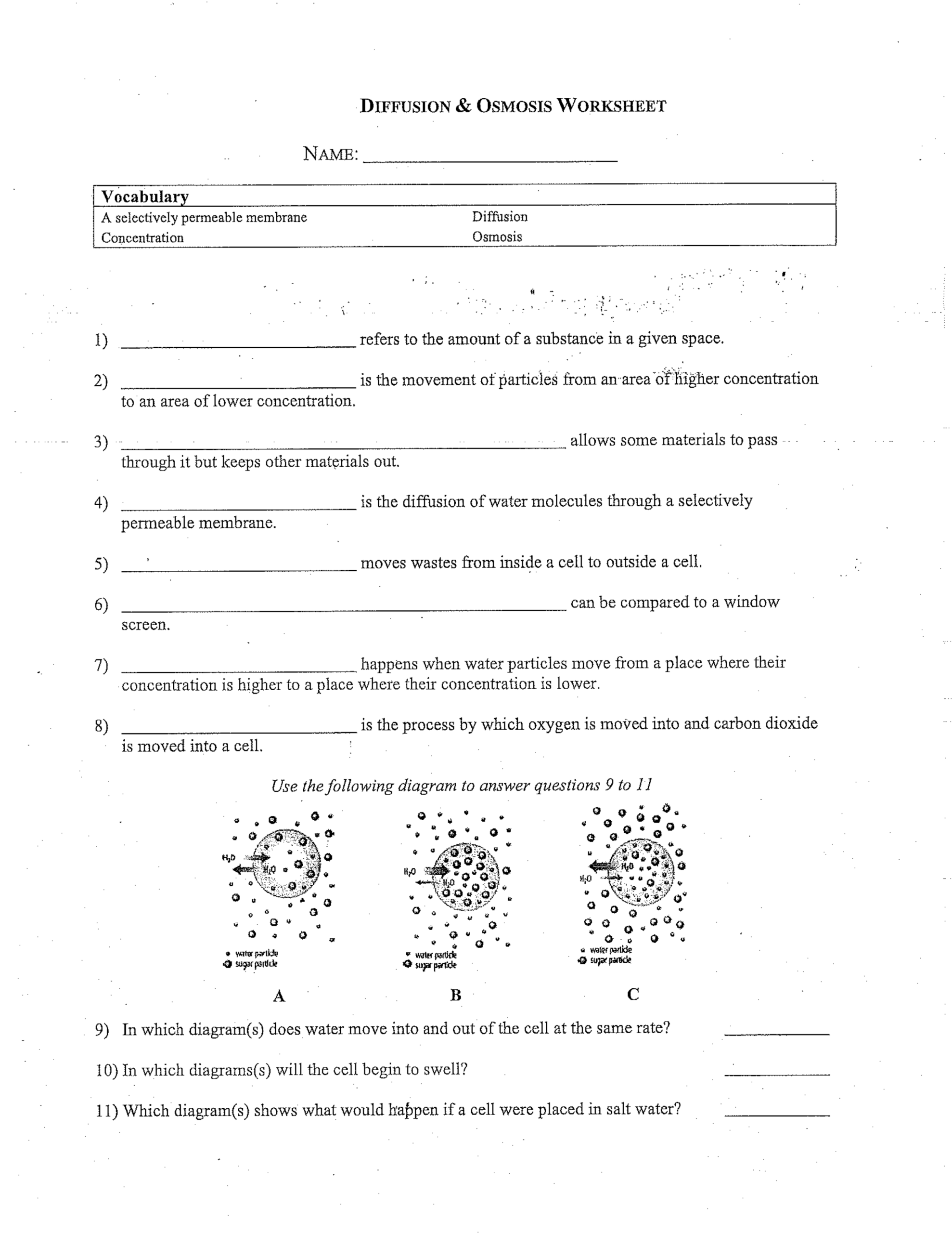 Diffusion Osmosis Worksheet Heather Sanborn Library Formative