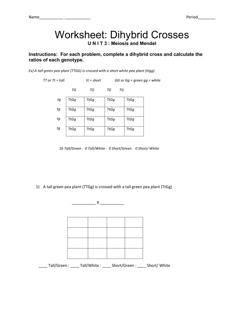 Dihybrid Crosses Worksheet Genetics Practice
