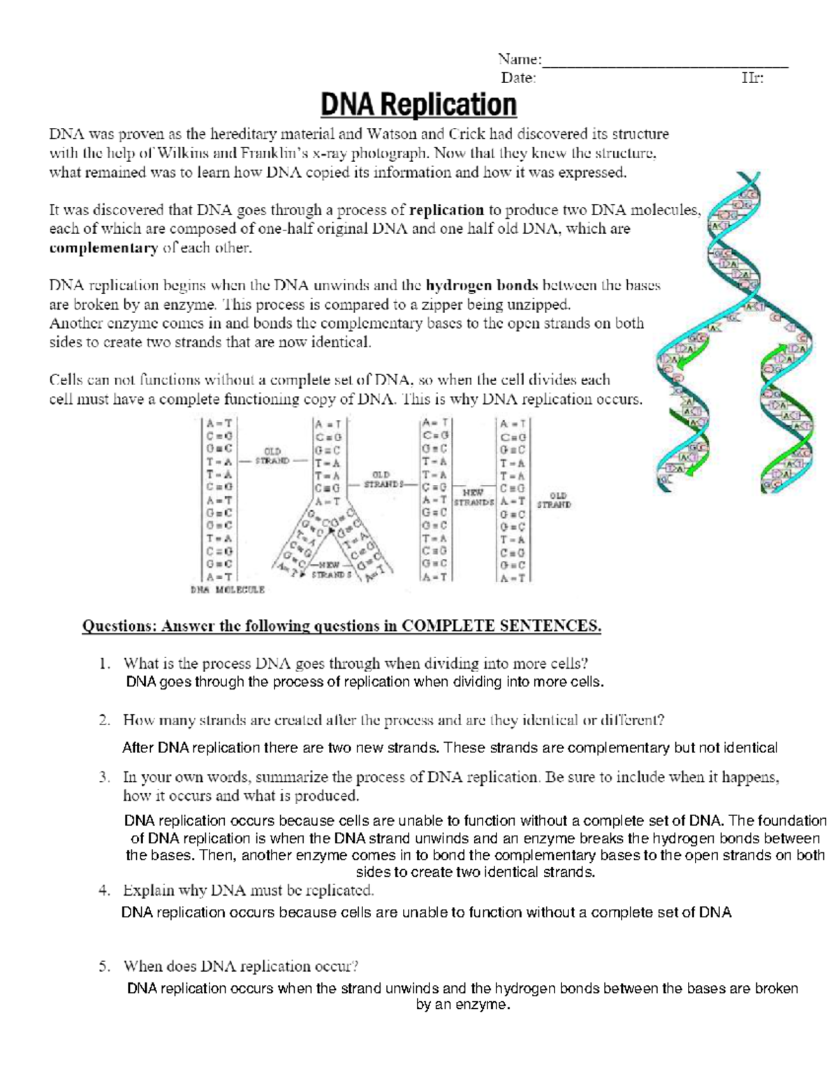 DNA Replication Worksheet For 2nd Year Biochemistry Students Studocu