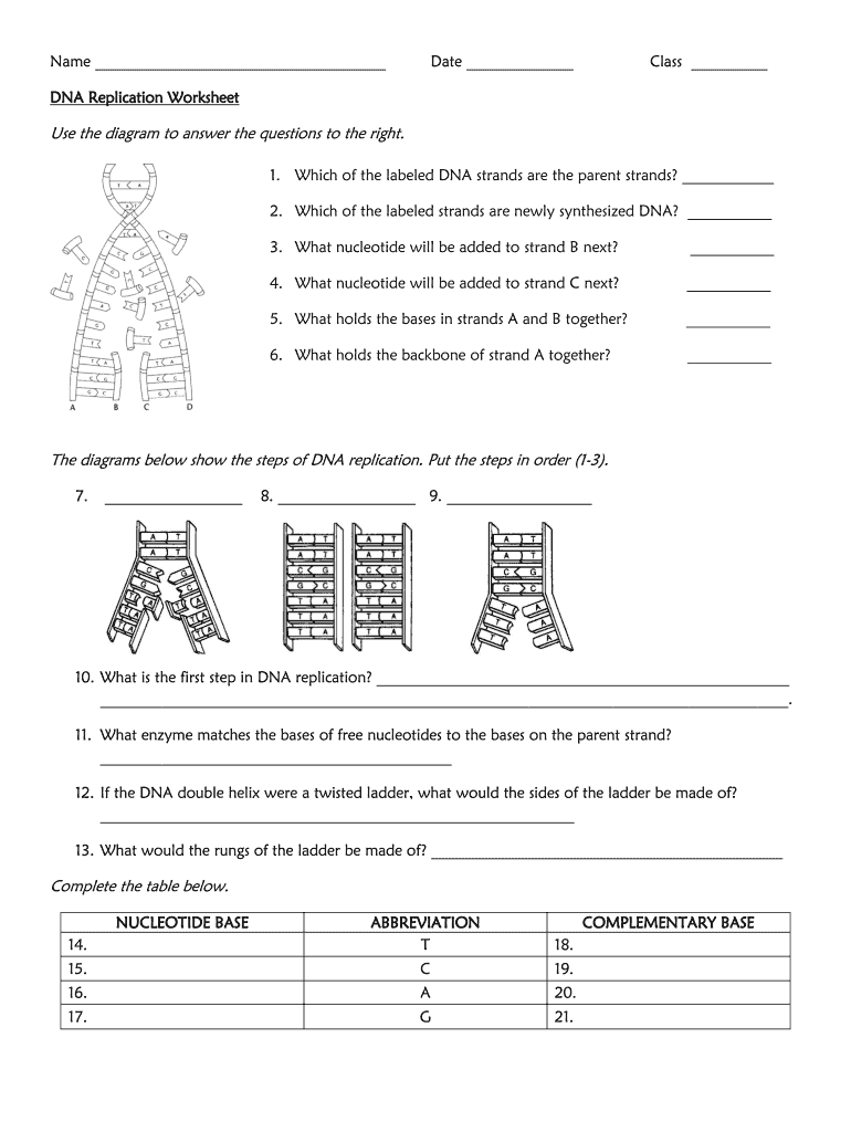 Dna Worksheet Pdf Fill Out Sign Online DocHub