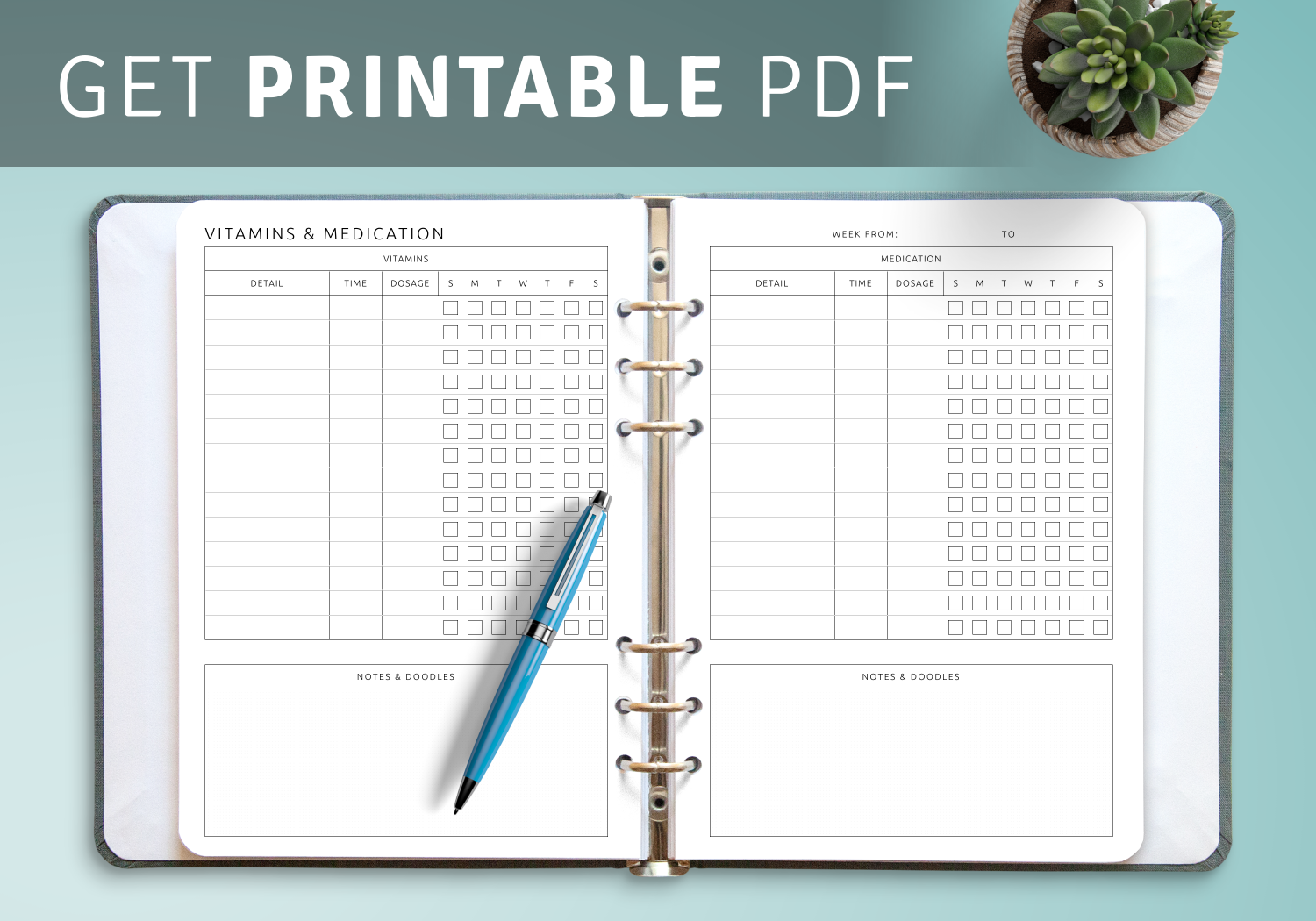Download Printable Vitamins Medication Template PDF