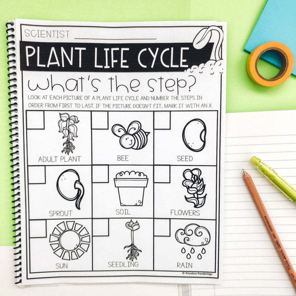 Elementary Science Units Make Teaching Plant Life Cycles Easy Priceless Ponderings