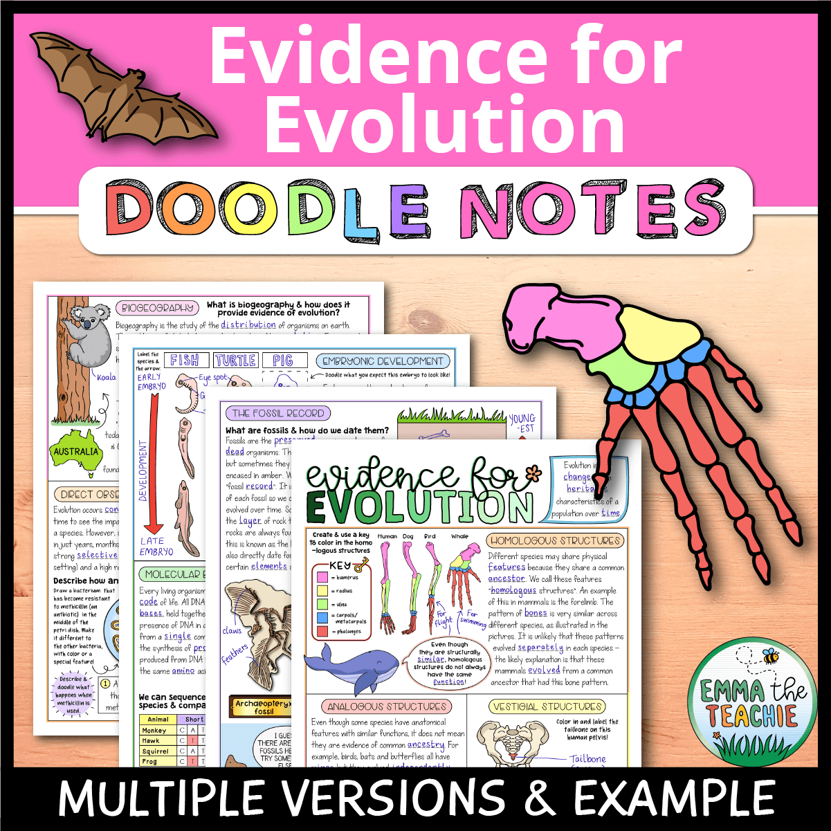 Evidence For Evolution Doodle Notes Emmatheteachie Evidence For Evolution Doodle Notes Emmatheteachie