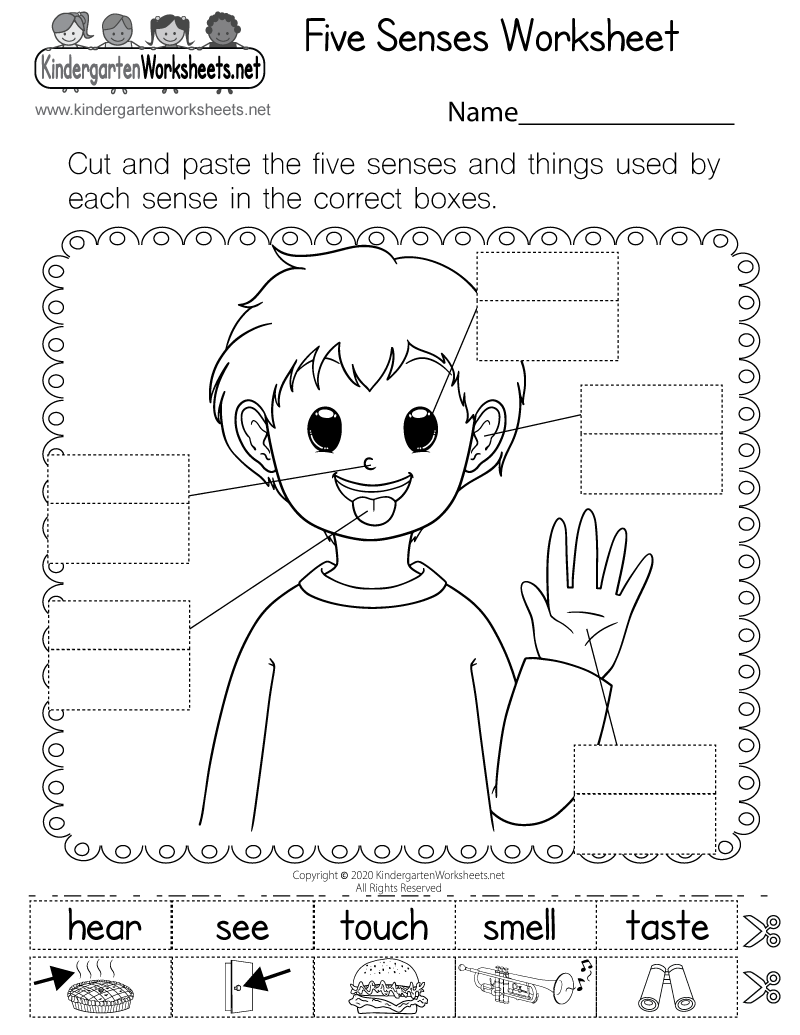 kindergarten science worksheets
