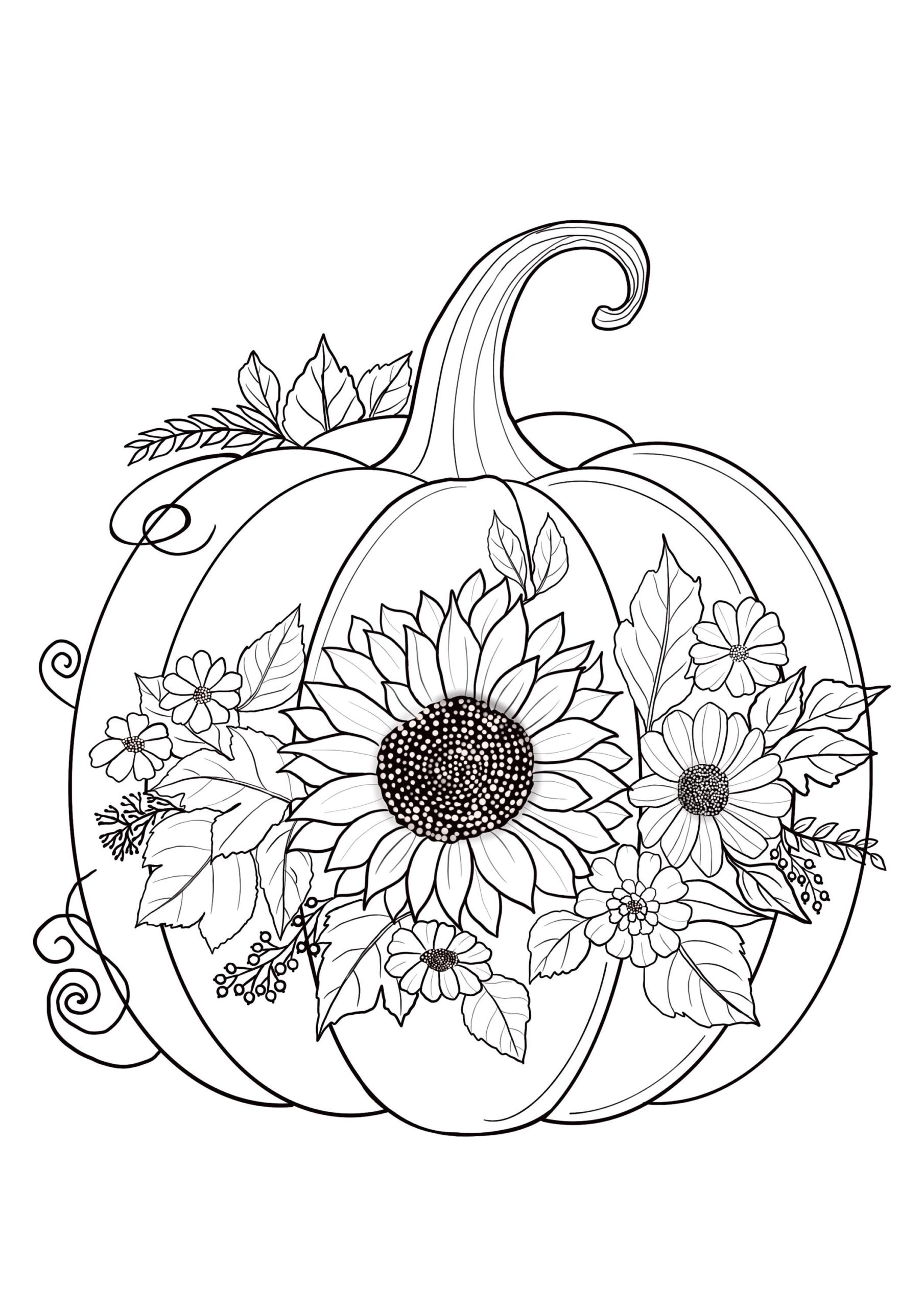 pumpkin coloring sheets printable pumpkin coloring sheets printable