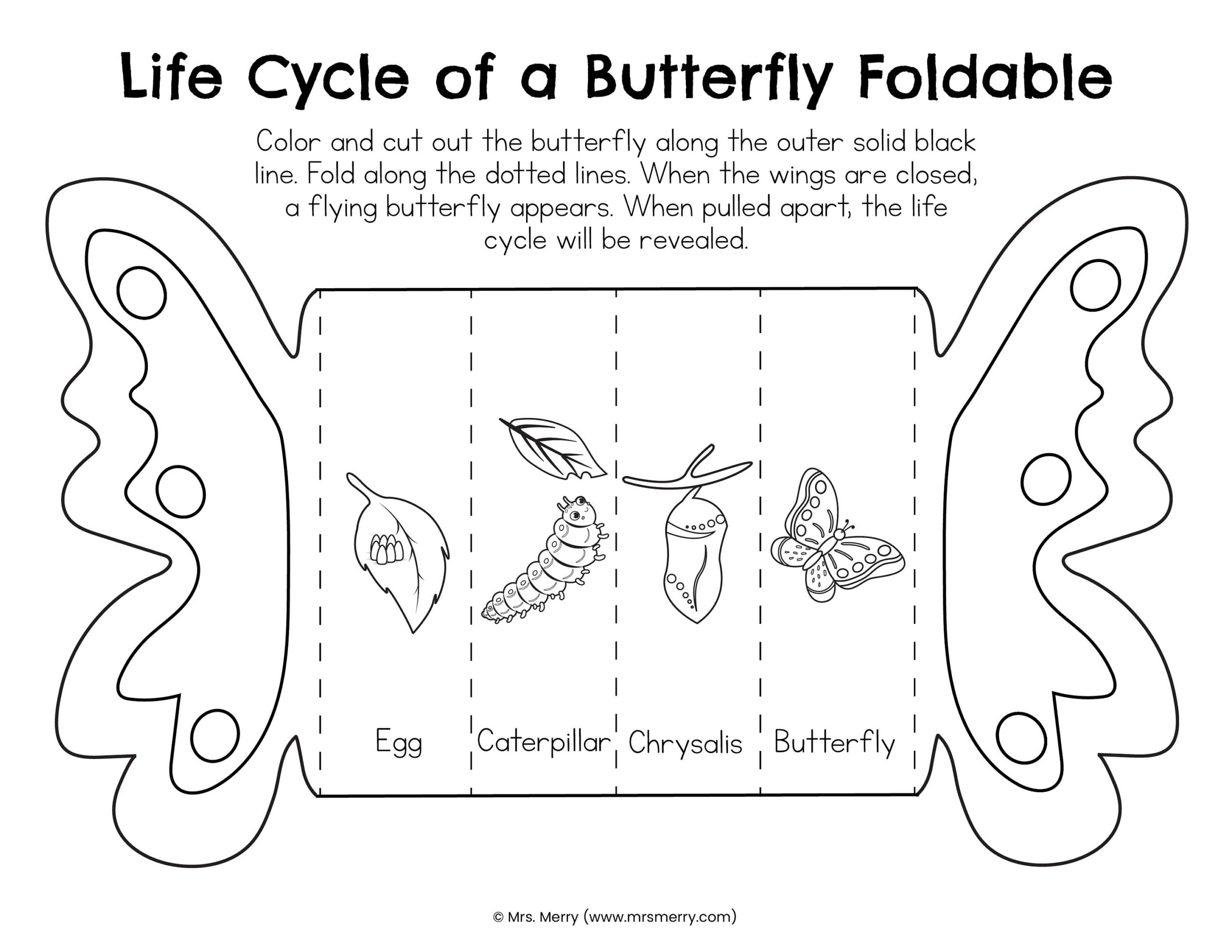 Foldable Butterfly Life Cycle Printable Etsy Finland