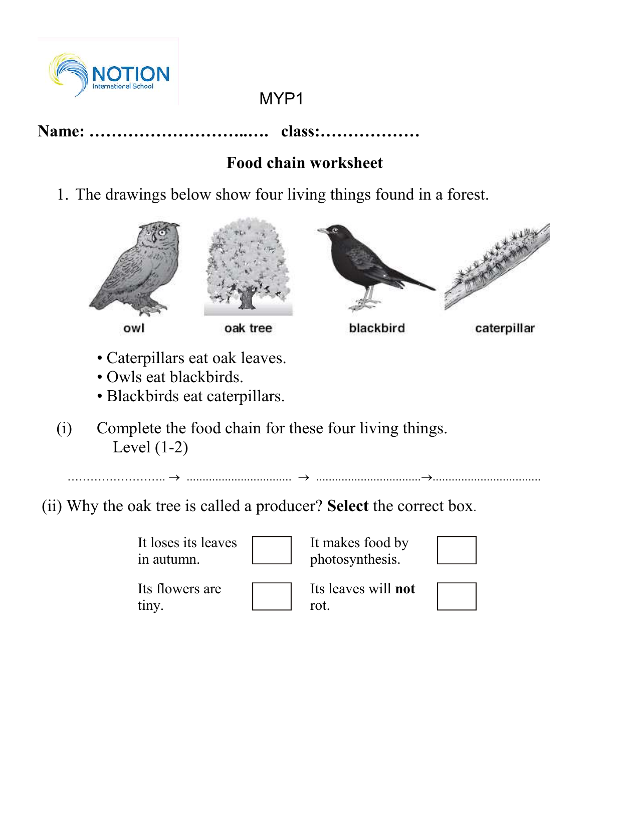 Food Chain Worksheet Ecosystems Producers