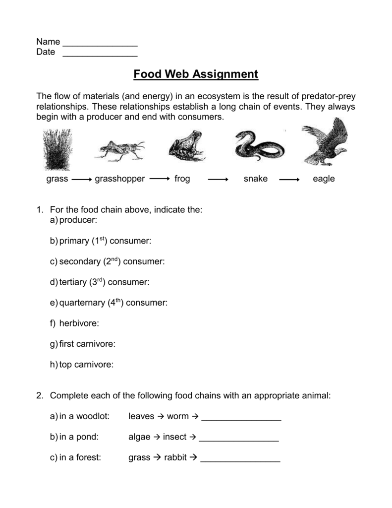 Food Chains Food Webs Worksheet Ecology For Middle School
