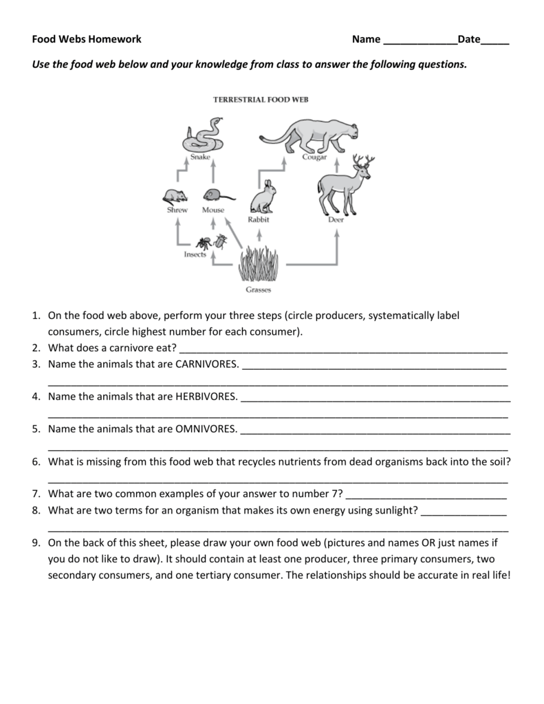Food Web Homework Producers Consumers And Ecosystems