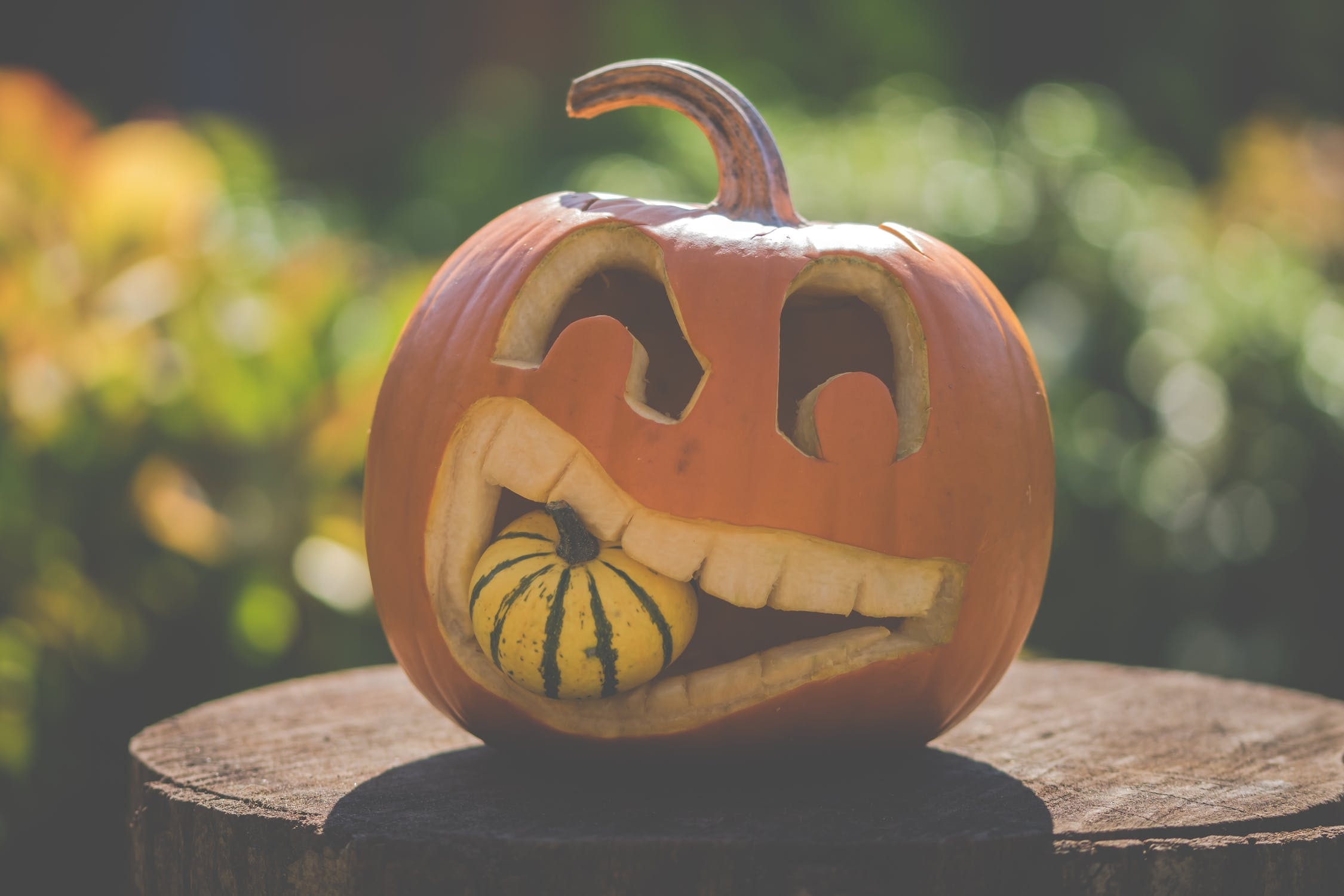 FREE Halloween Pumpkin Carving Stencils The PennyWiseMama FREE Halloween Pumpkin Carving Stencils The PennyWiseMama