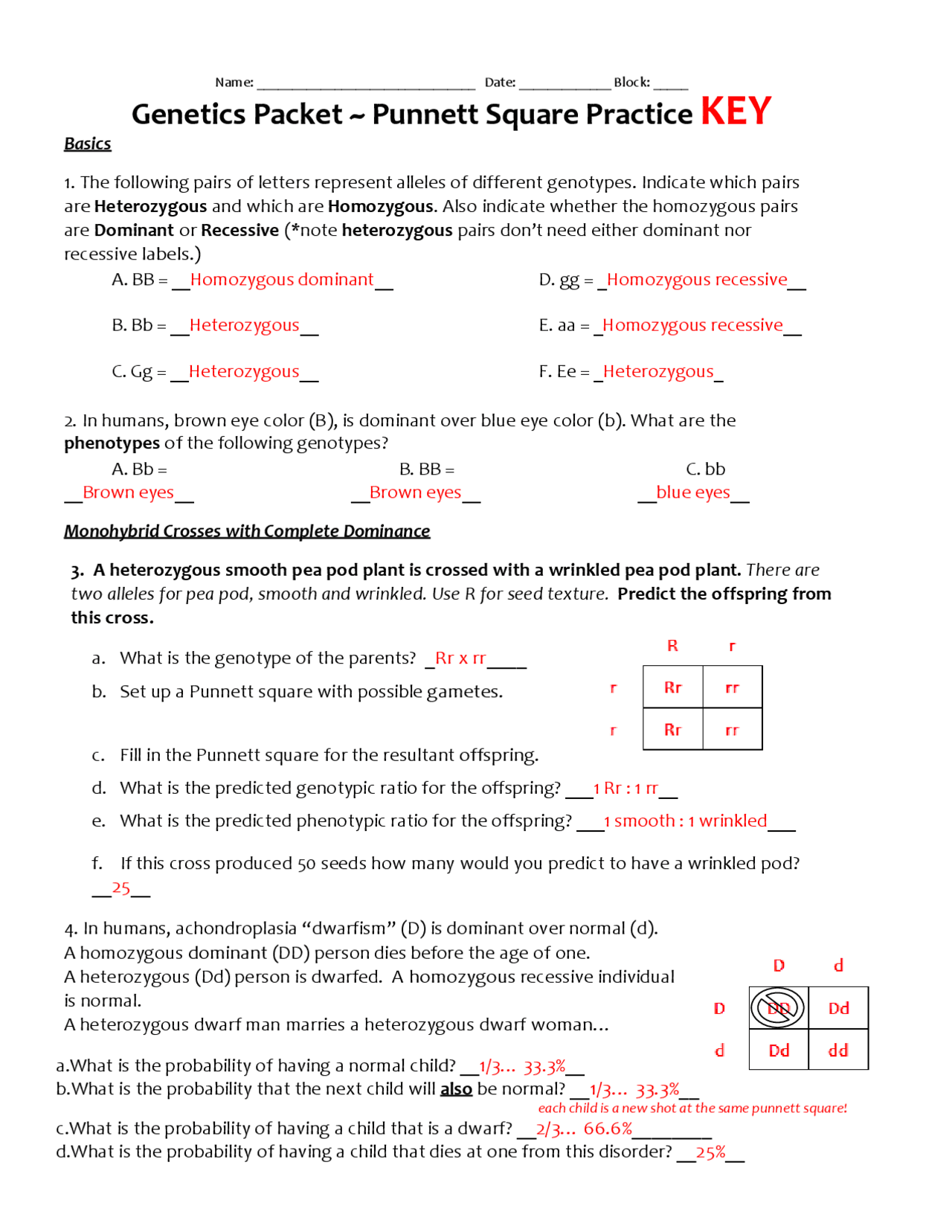 Genetics Packet Punnett Square Practice KEY Lecture Notes Worksheets Library