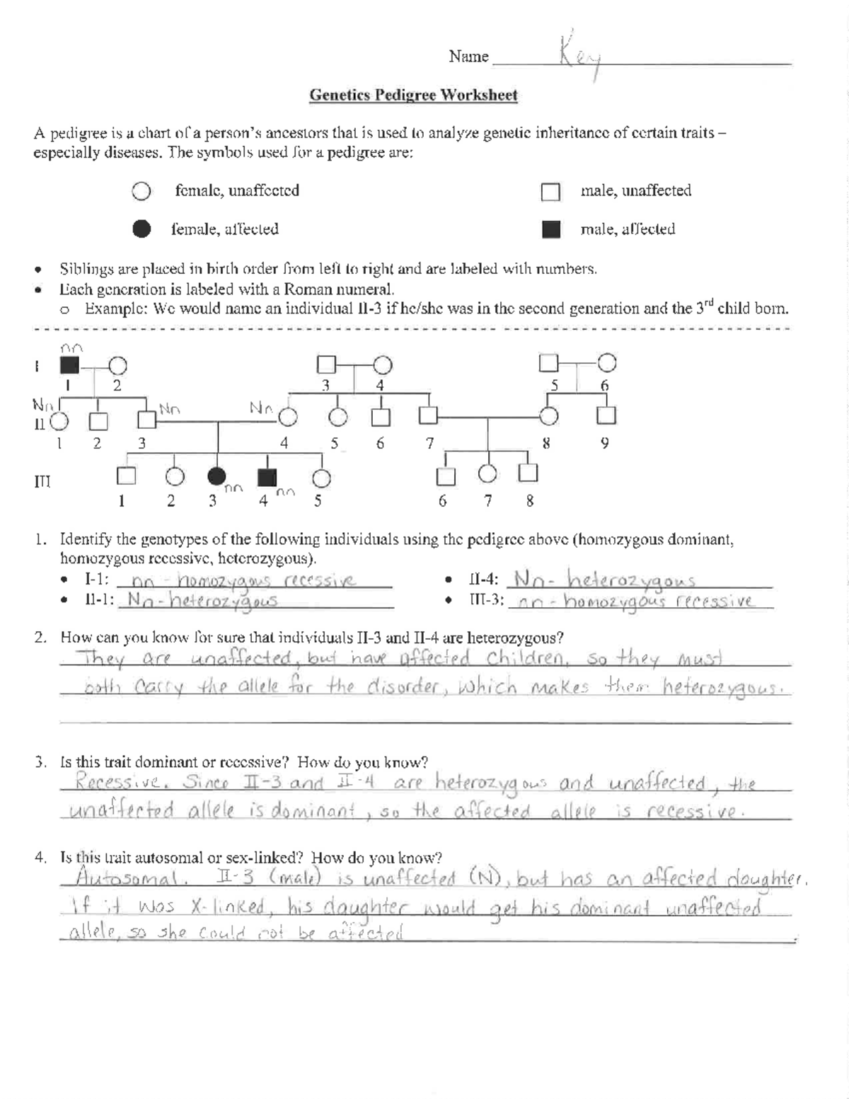 pedigree worksheet answers