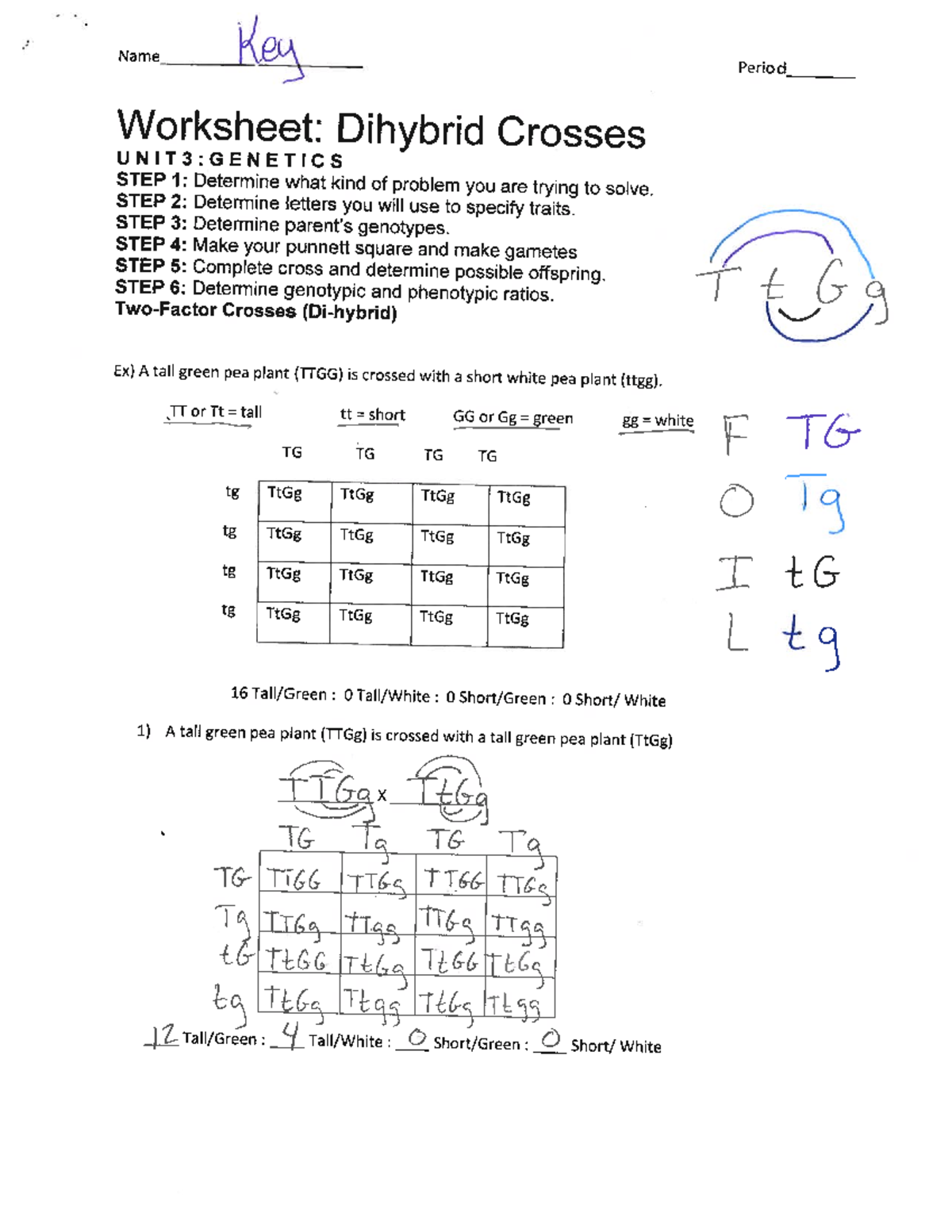 Genetics Unit Dihybrid Crosses Worksheet Answer Key Studocu