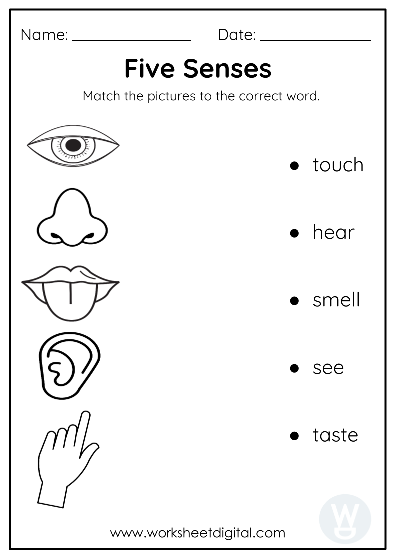 Grade 1 Science Worksheets 