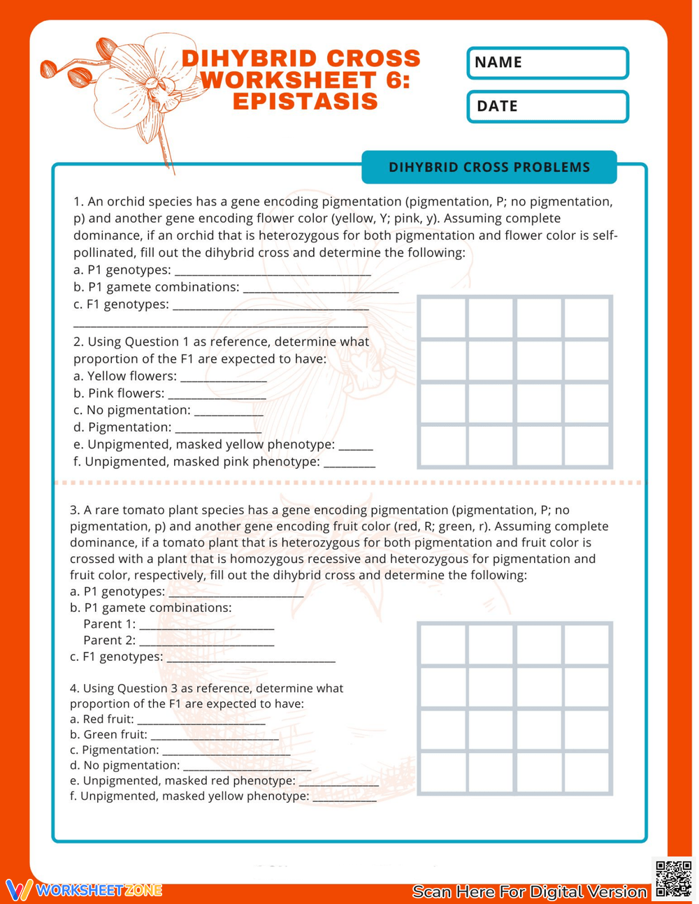 Grade 9 Dihybrid Cross Worksheets Printable